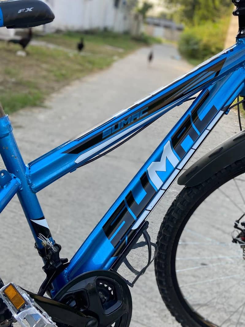 Sumac cycle Mtb 4