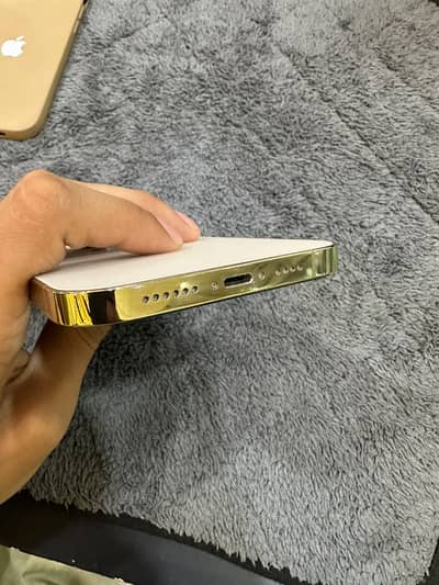 Apple iPhone 12 Pro Max