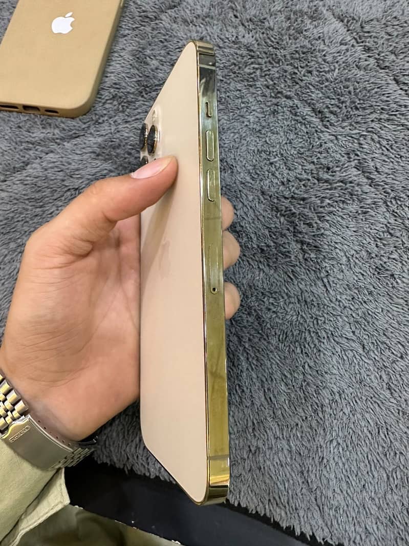 Apple iPhone 12 Pro Max 2