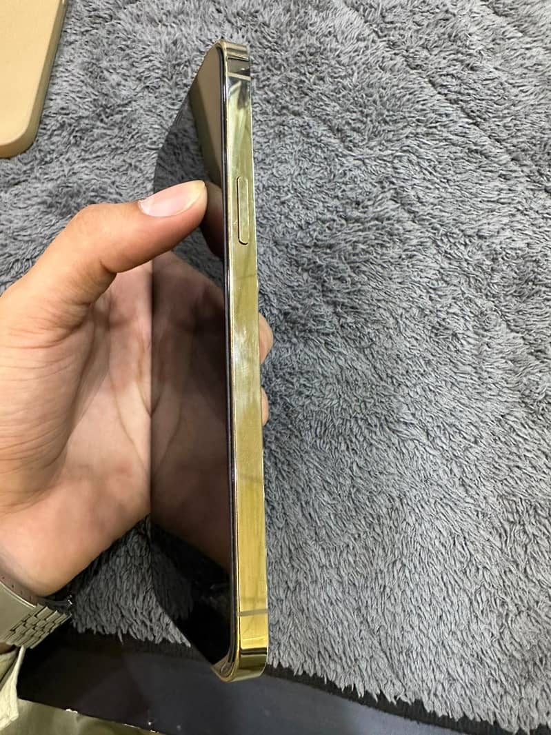 Apple iPhone 12 Pro Max 3