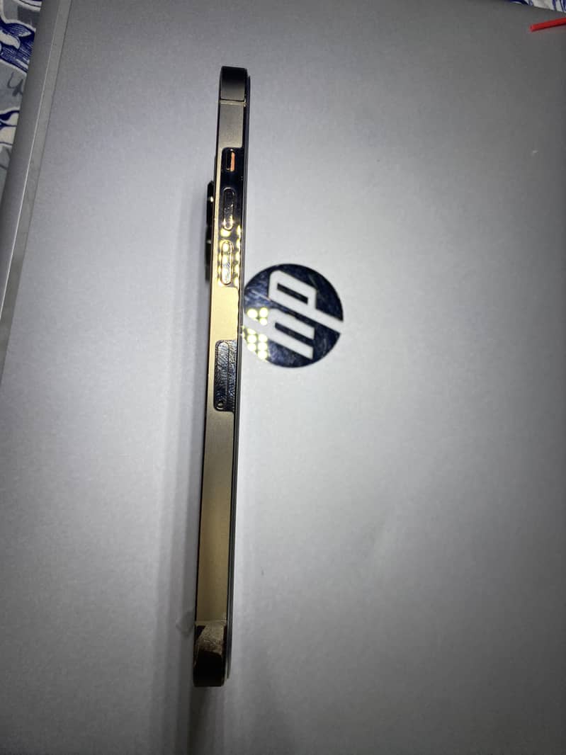 Apple iPhone 12 Pro Max 5