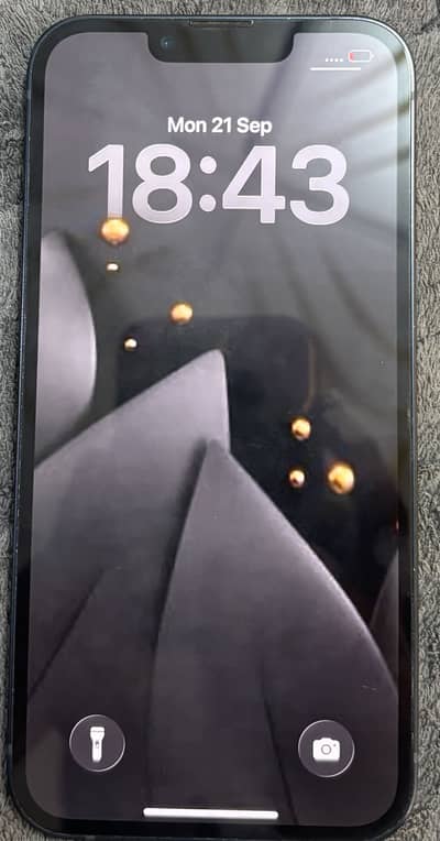iPhone 13