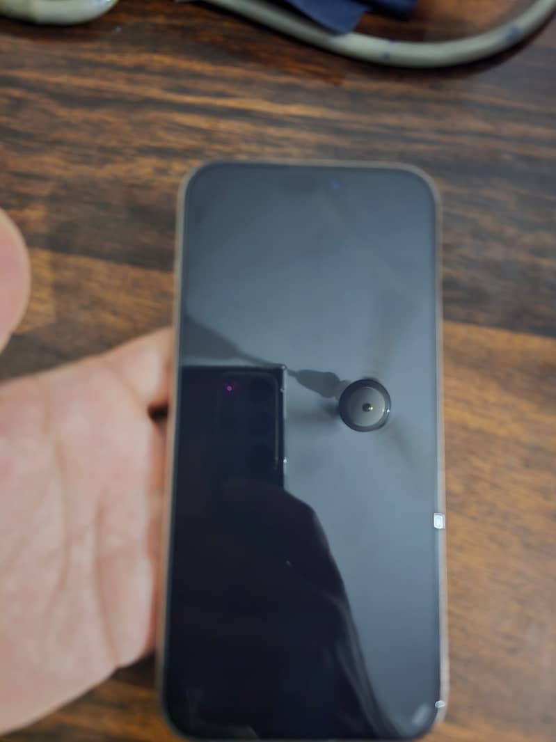 Apple iPhone 16 Pro Max 1