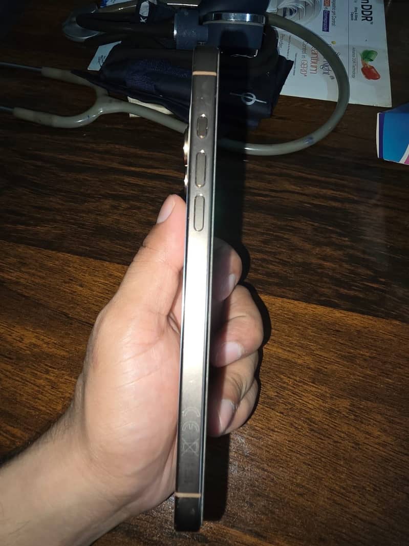 Apple iPhone 16 Pro Max 4