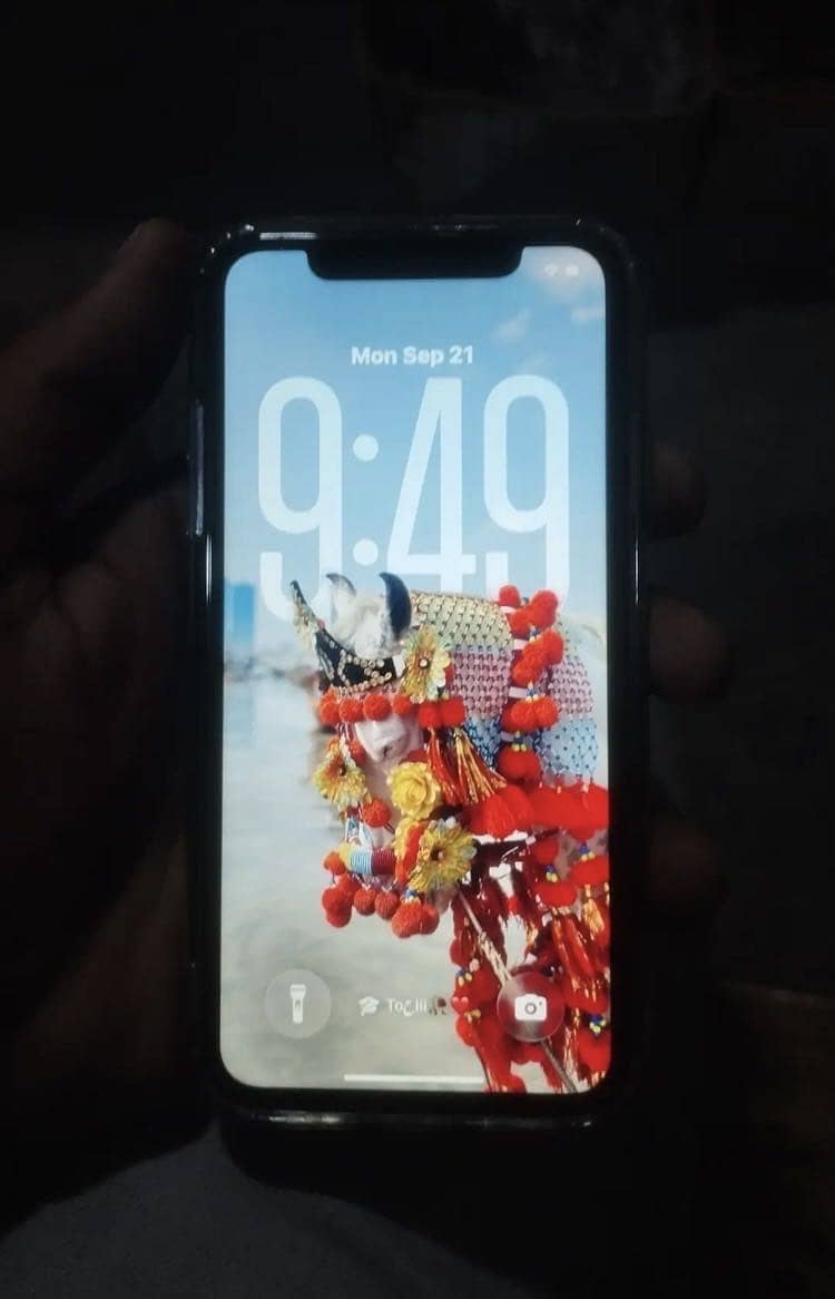 Apple iPhone 11 2