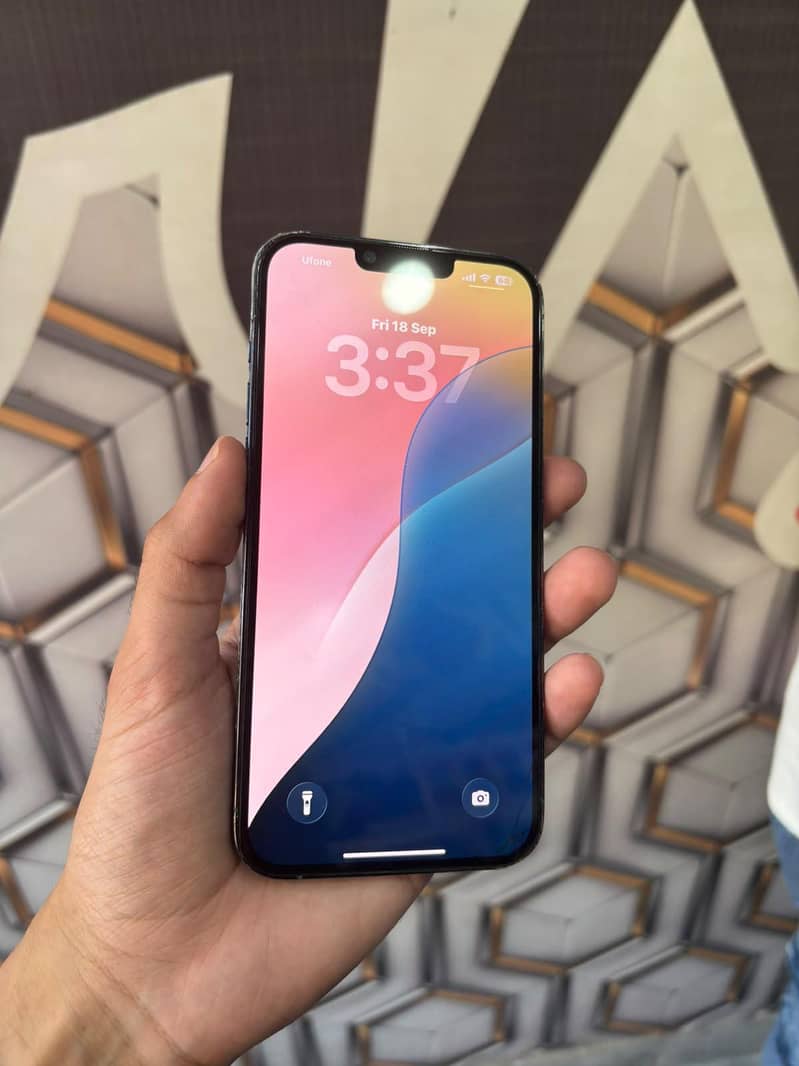 Apple iPhone 13 Pro Max 1