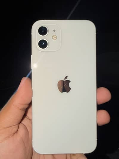 I phone 12 pta approved