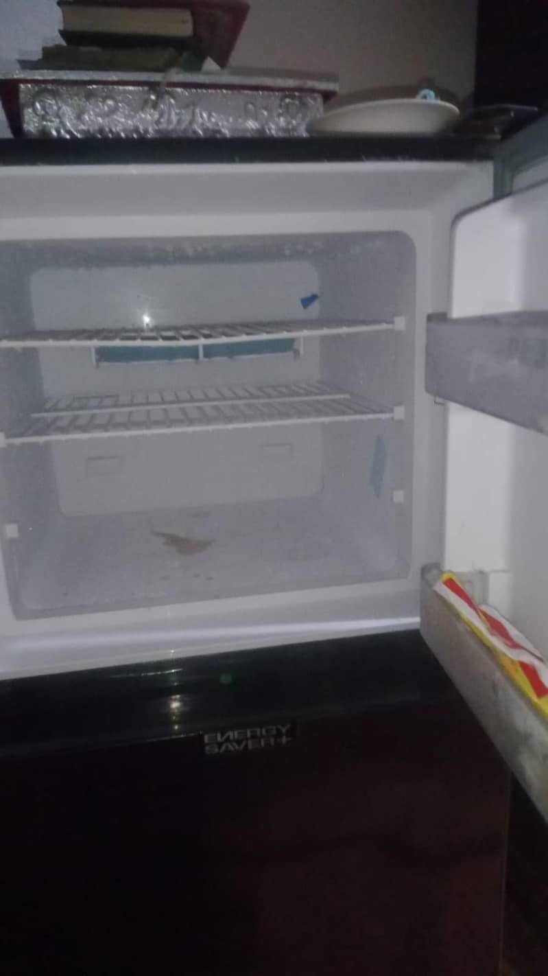 dewlance fridge 2