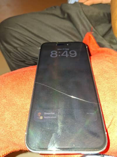 Apple iPhone 14 Pro Max