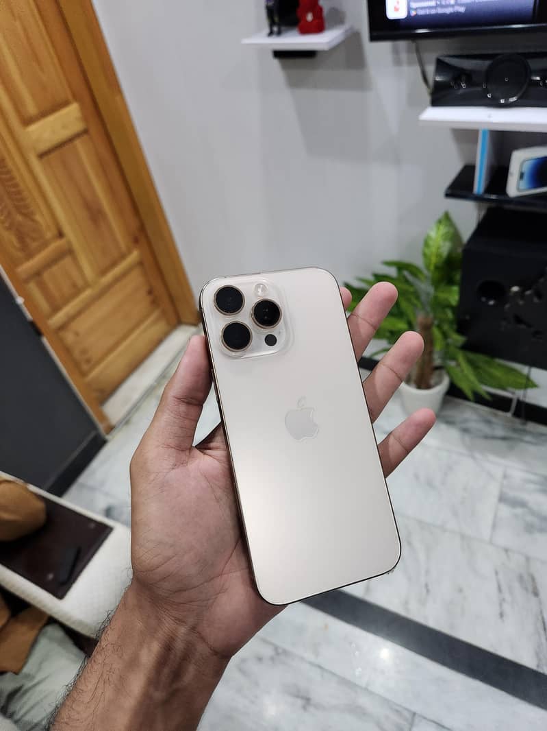 Apple iPhone 16 Pro Max 1
