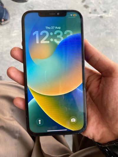 Apple iPhone 12 Pro Max