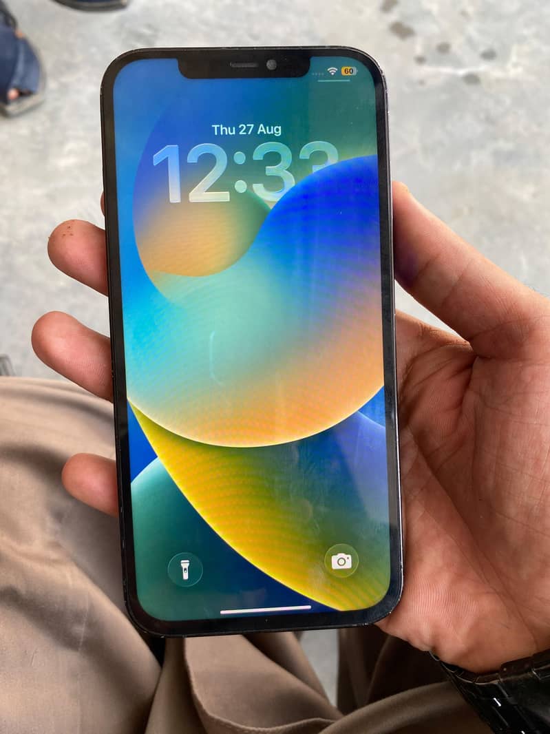 Apple iPhone 12 Pro Max 0