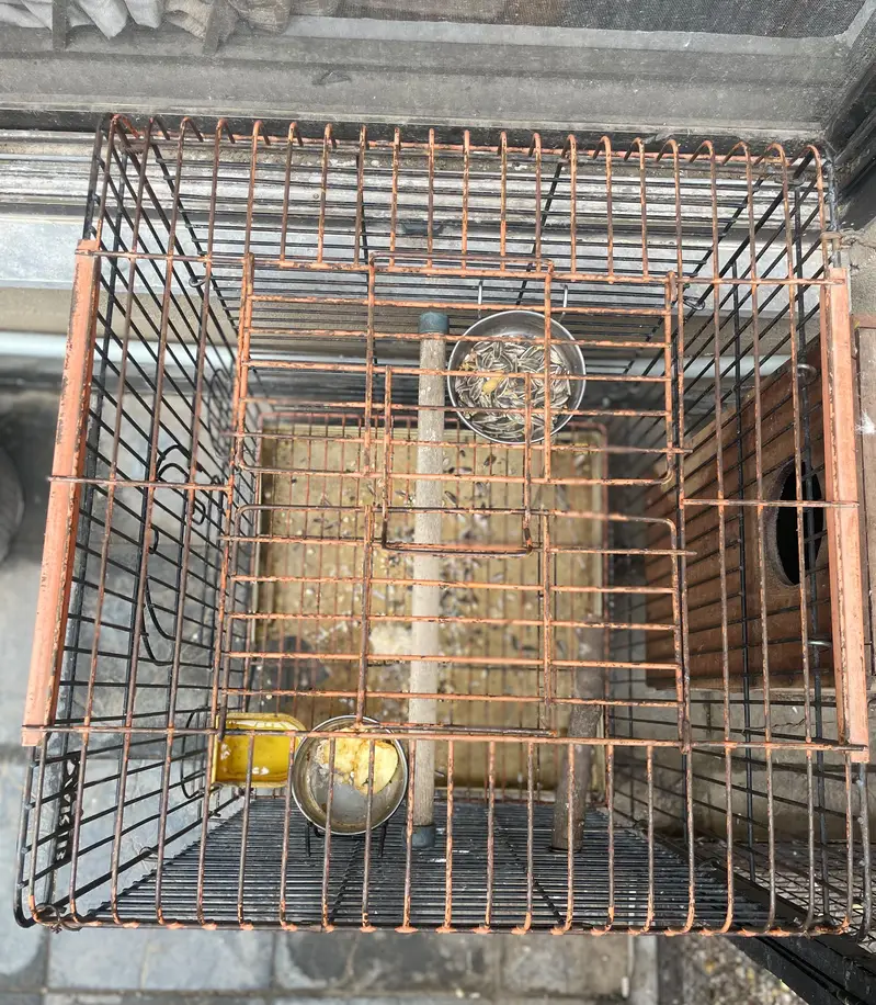 parrot cage — photo 2