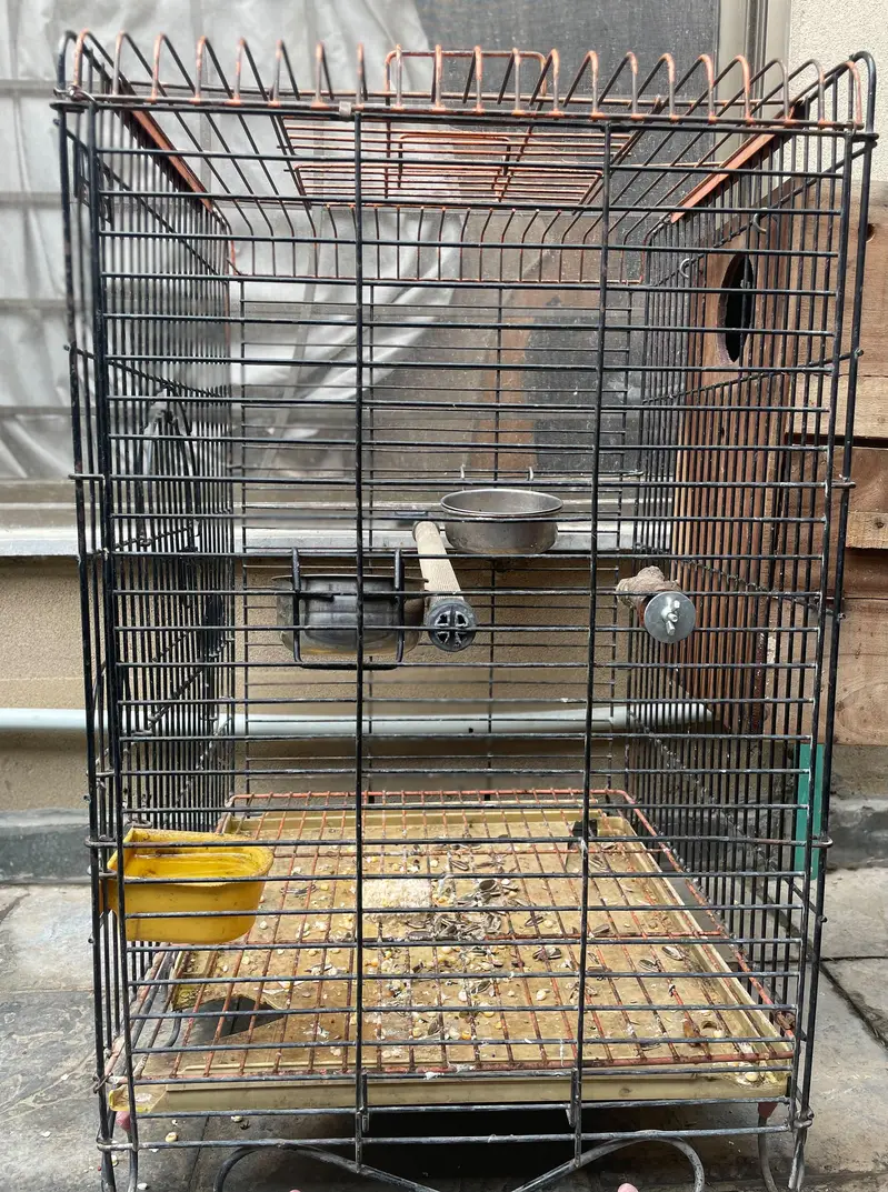 parrot cage — photo 3