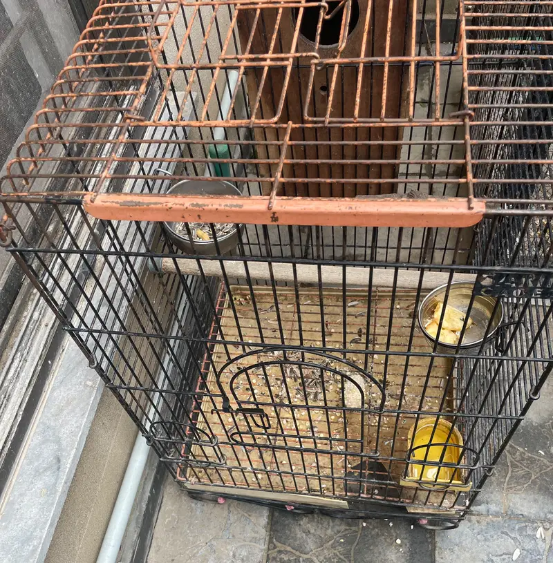 parrot cage — photo 4