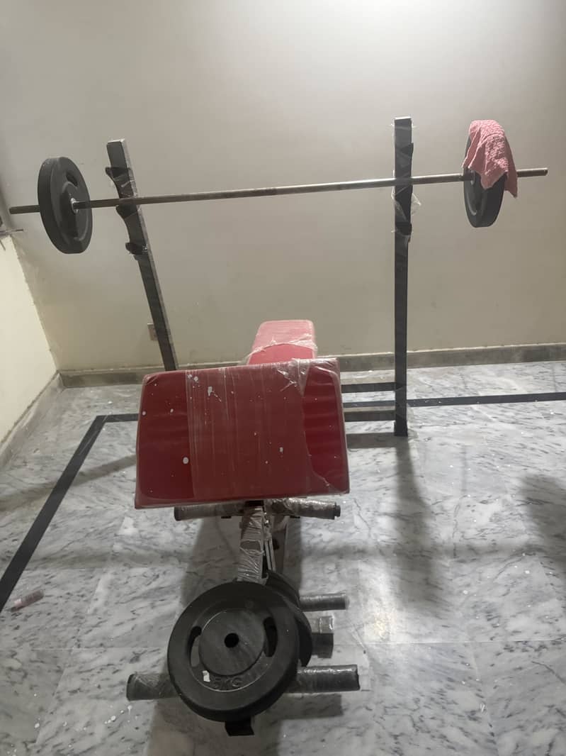 Benchpress and weights 2