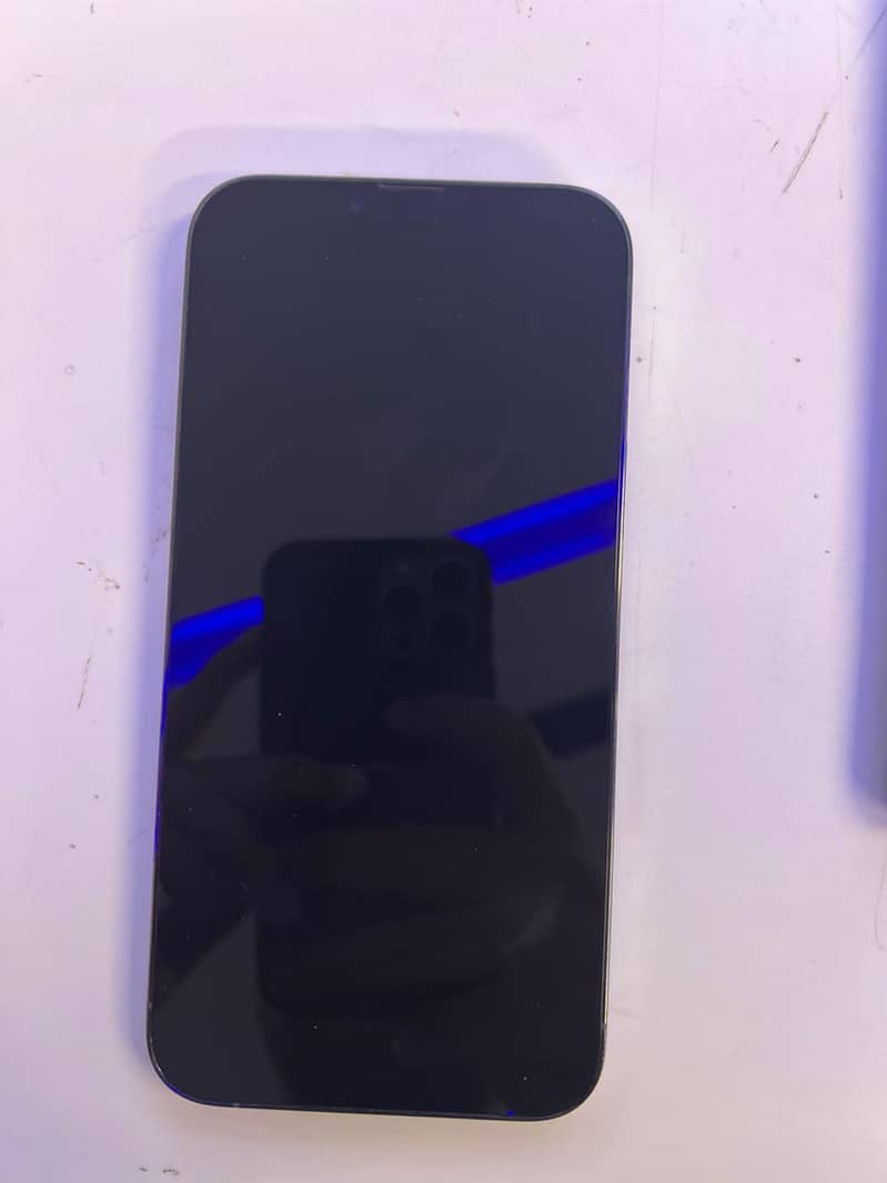 Apple iPhone 13 Pro Max 2