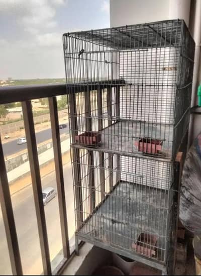bird cage