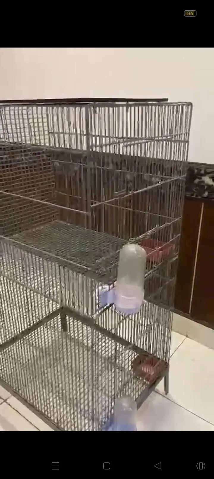 bird cage — photo 2