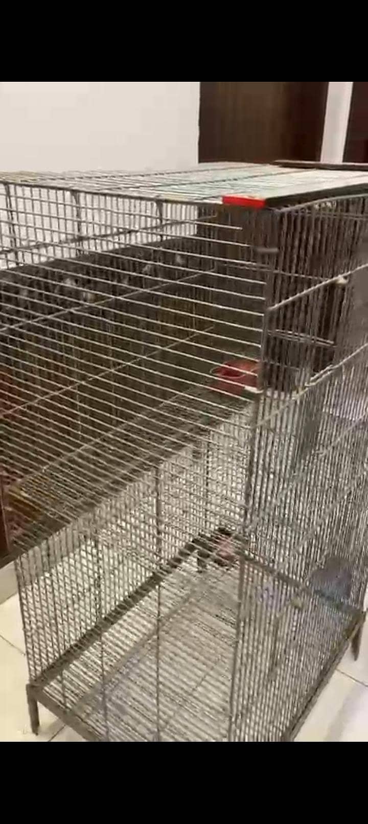 bird cage 3