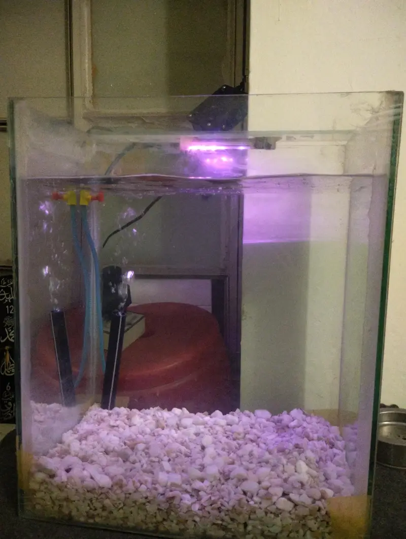 Fish Aquarium — photo 3