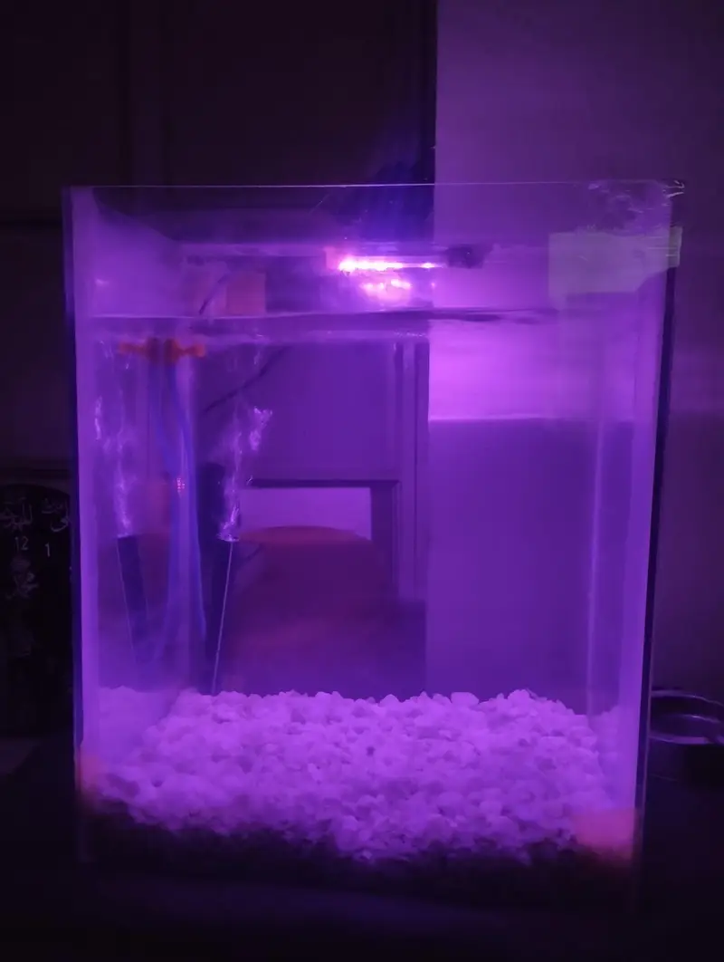 Fish Aquarium — photo 4