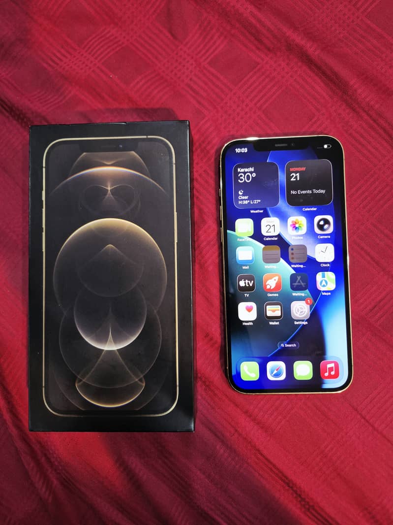 Apple iPhone 12 Pro Max 1