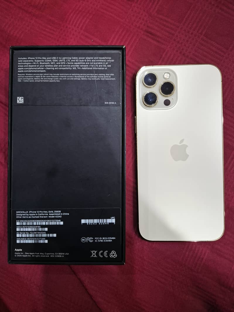 Apple iPhone 12 Pro Max 2