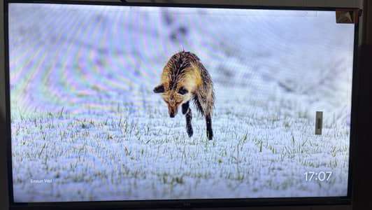 Tcl 32 inch led