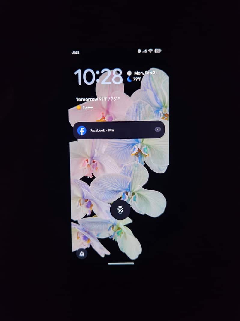 Google Pixel 6 2