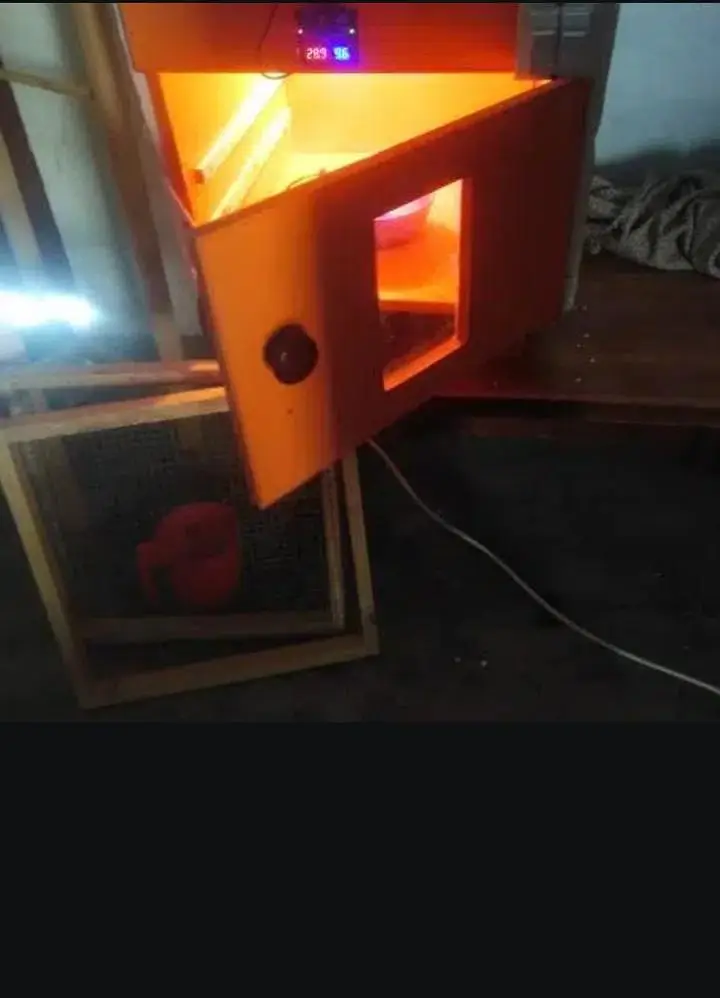 Egg Incubator 150 eggs Capacity 10/10 — photo 2