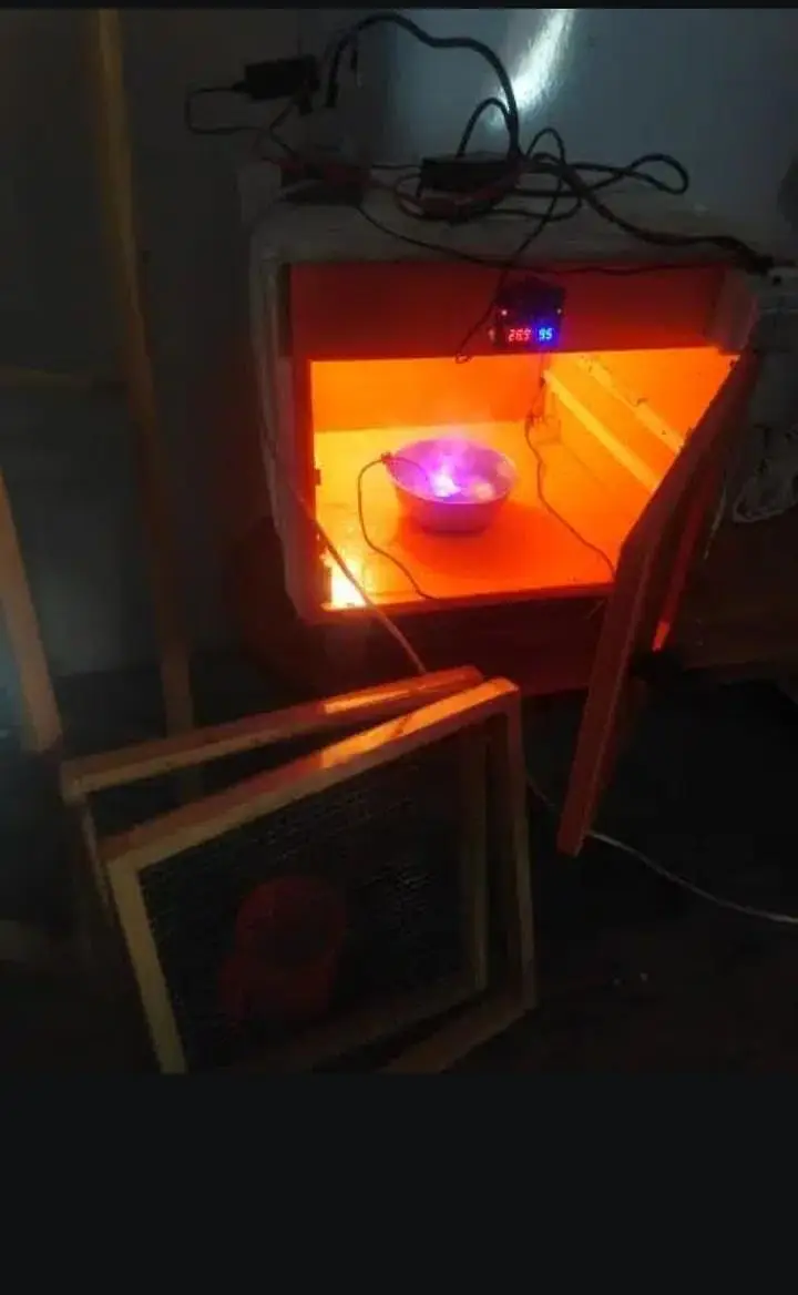 Egg Incubator 150 eggs Capacity 10/10 — photo 3
