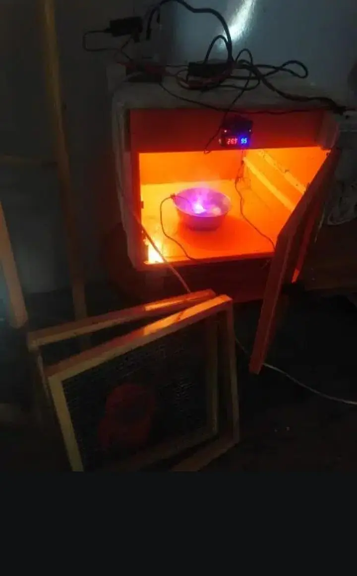 Egg Incubator 150 eggs Capacity 10/10 — photo 4