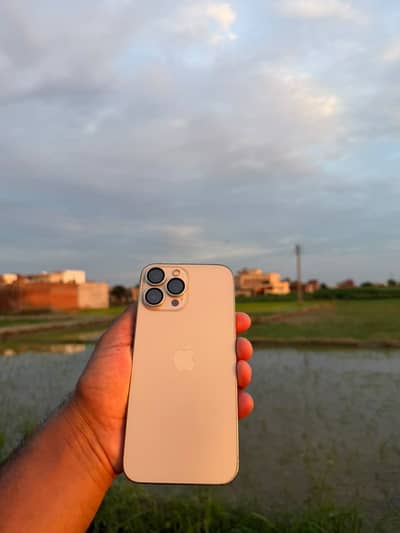 Apple iPhone 13 Pro Max
