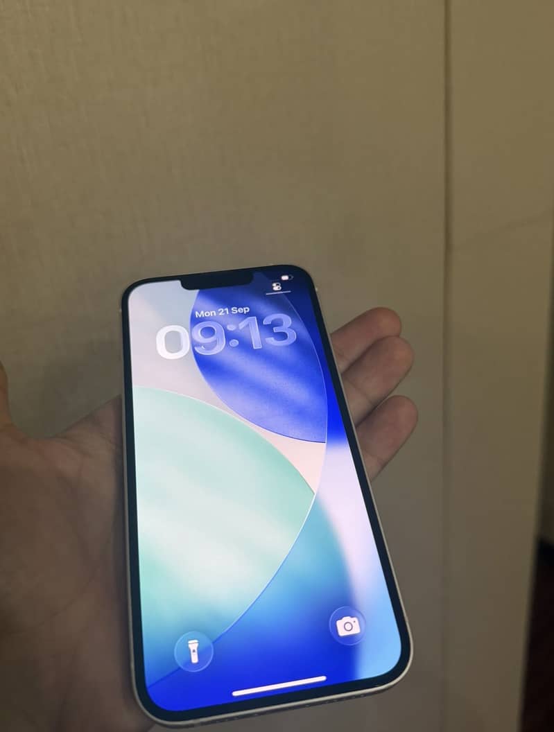 Apple iPhone 13 1