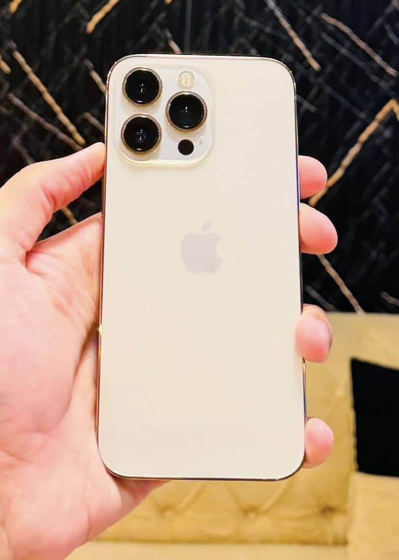 Apple iPhone 13 Pro 0