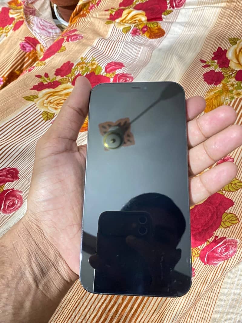 Apple iPhone 12 Pro Max 1