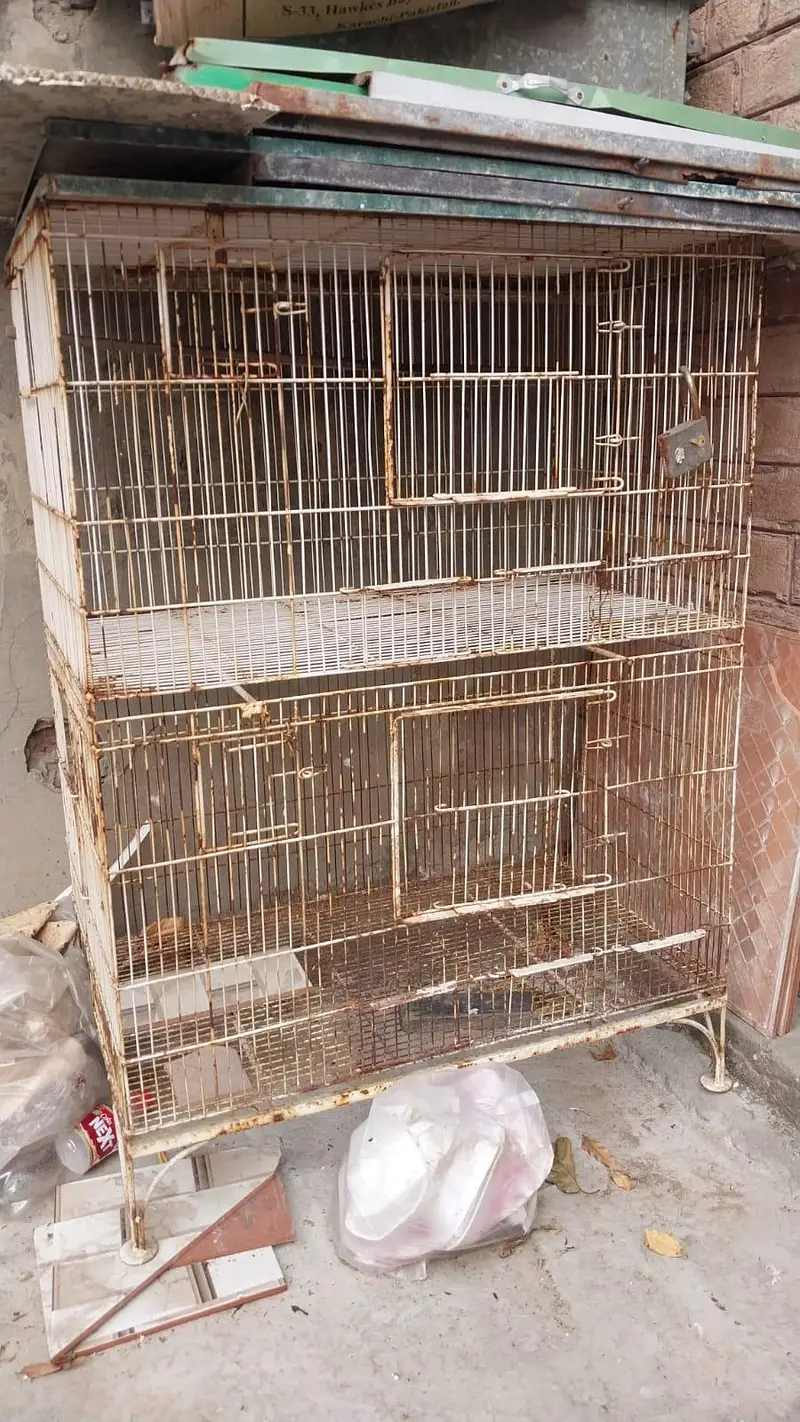 cages sale urgent — photo 3