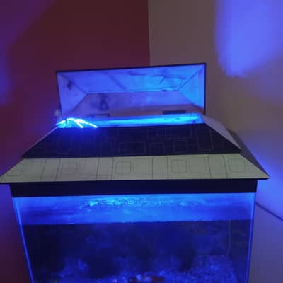 aqvarium
