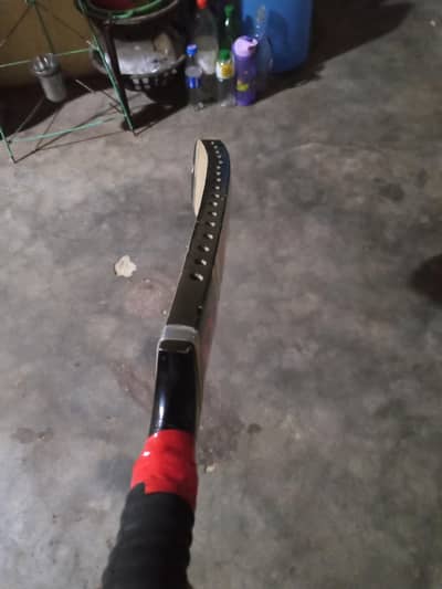 cricket bat??