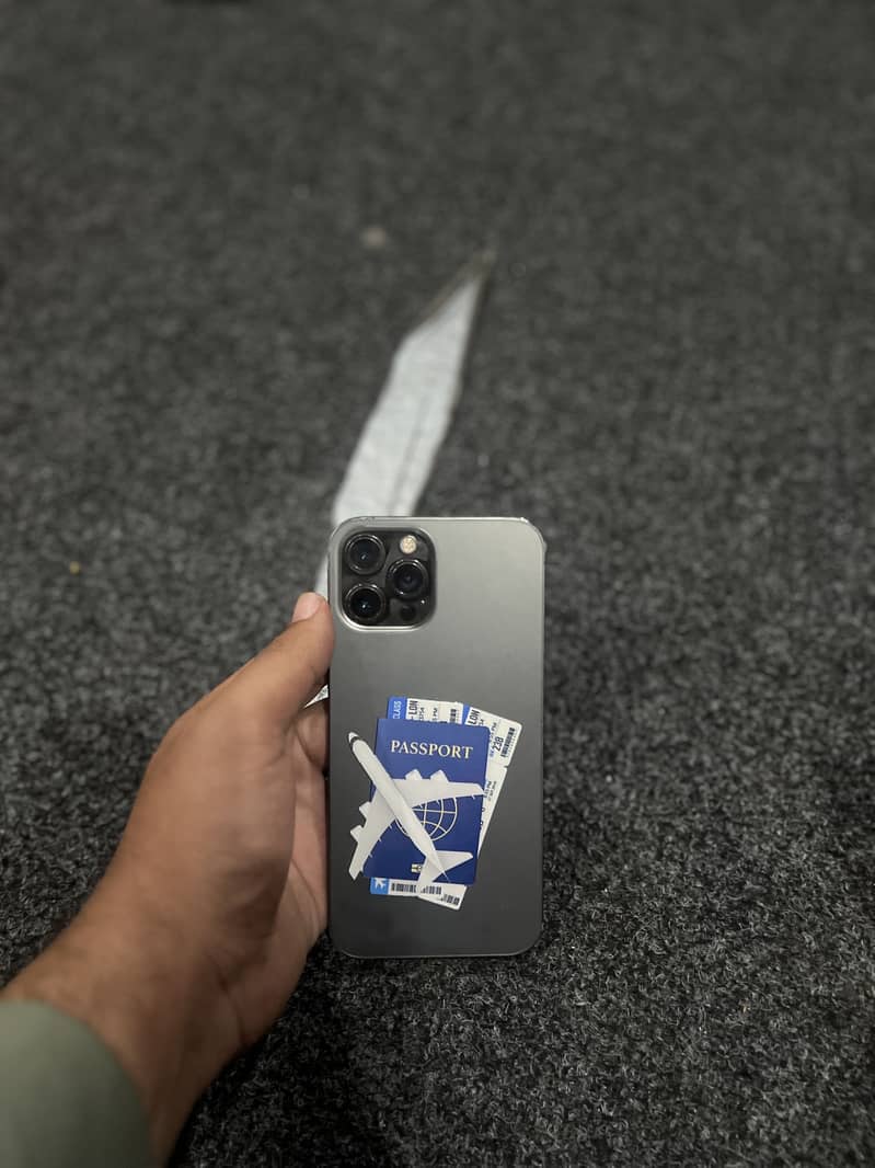 Apple iPhone 12 Pro Max 1