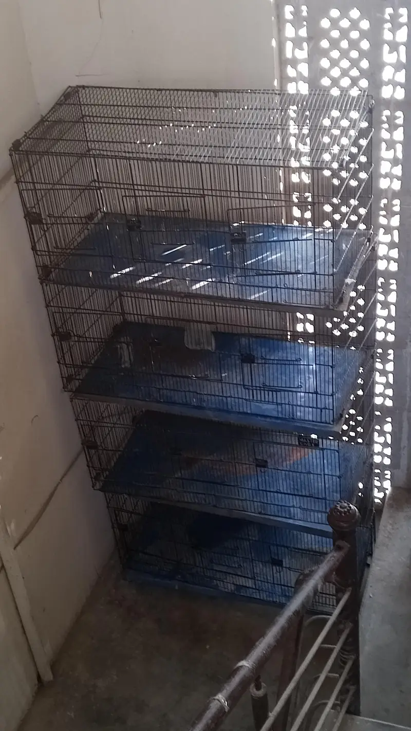 cage for sale — photo 2