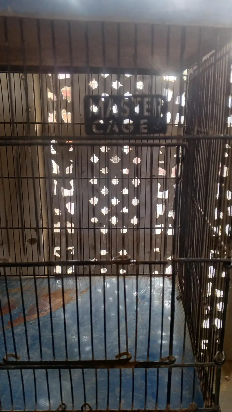 cage for sale — photo 4
