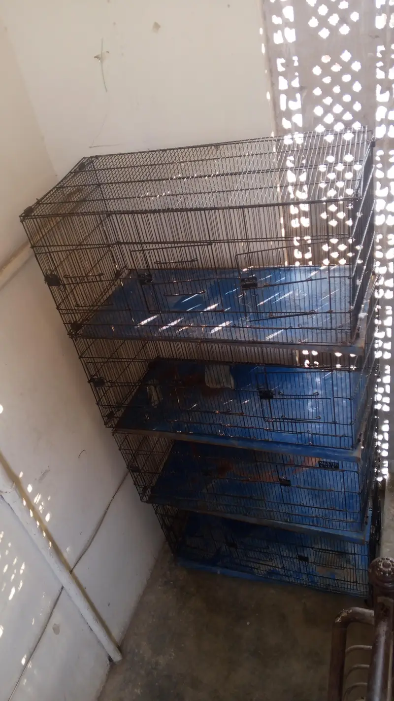 cage for sale — photo 5