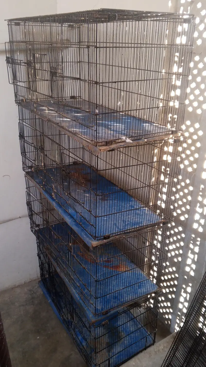 cage for sale — photo 6