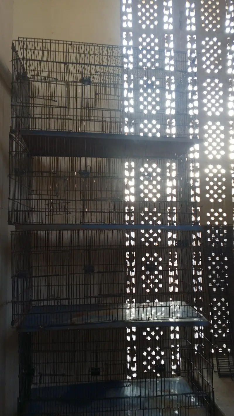 cage for sale — photo 7