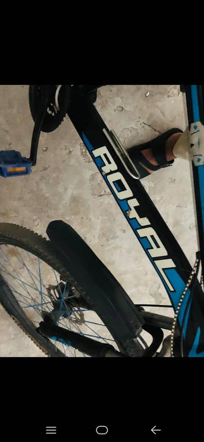 Royal 18 speed MTB-Gears Cycle