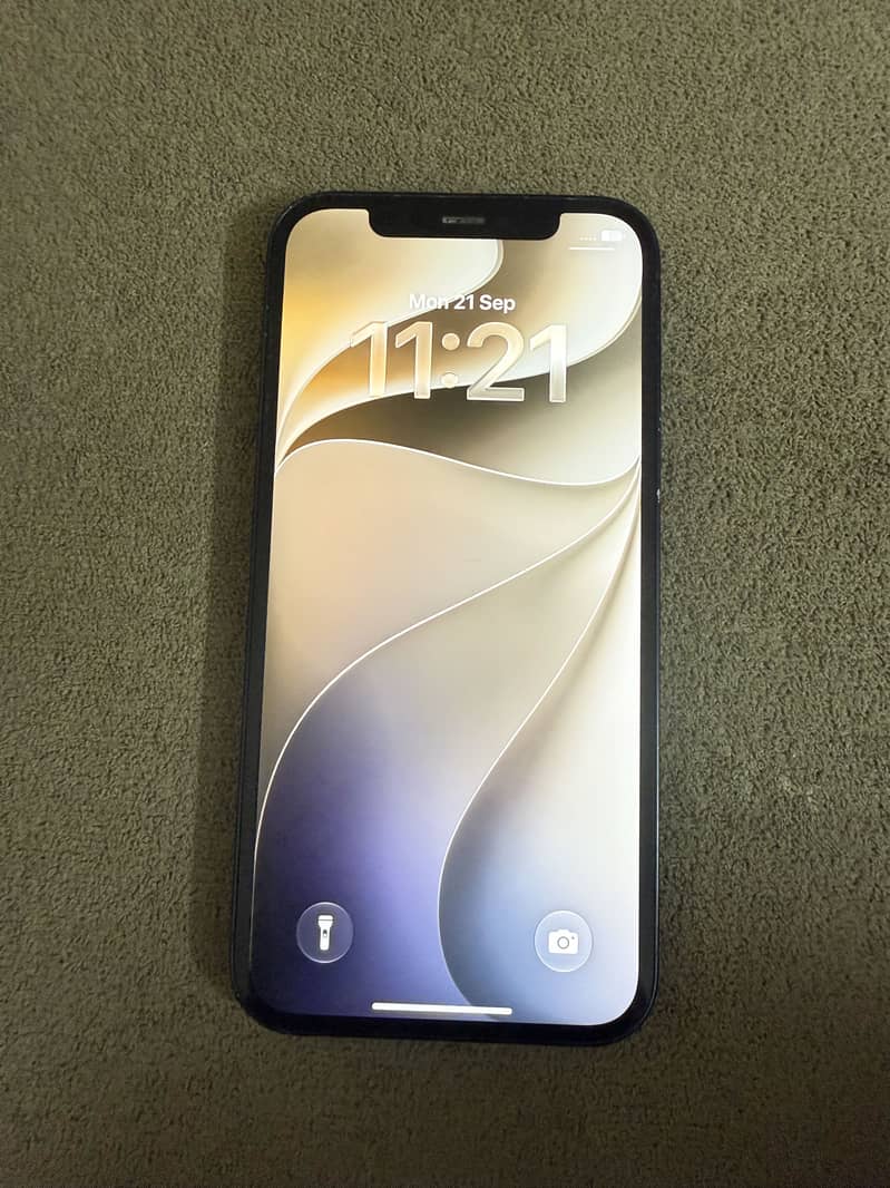 Apple iPhone 12 1