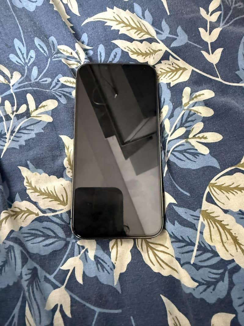 Apple iPhone 13 Pro 1