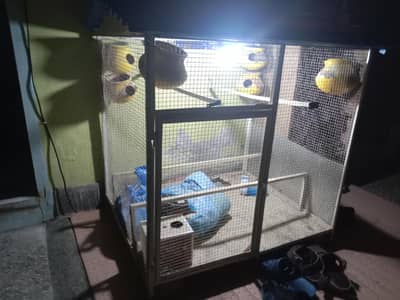 best big master cage urgent sale
